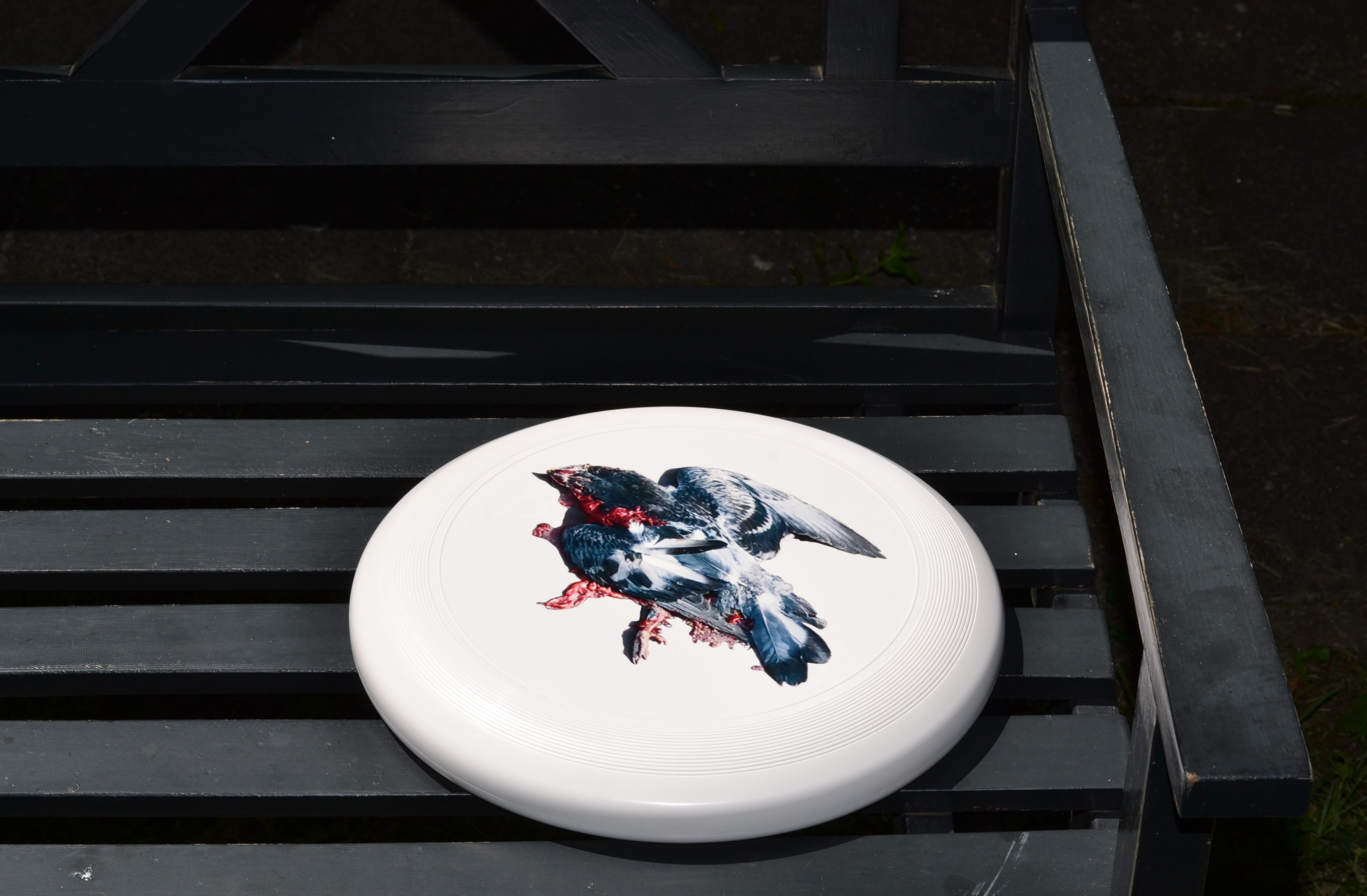 Frisbee with a photo of a dead smashed pigeon printed on it
