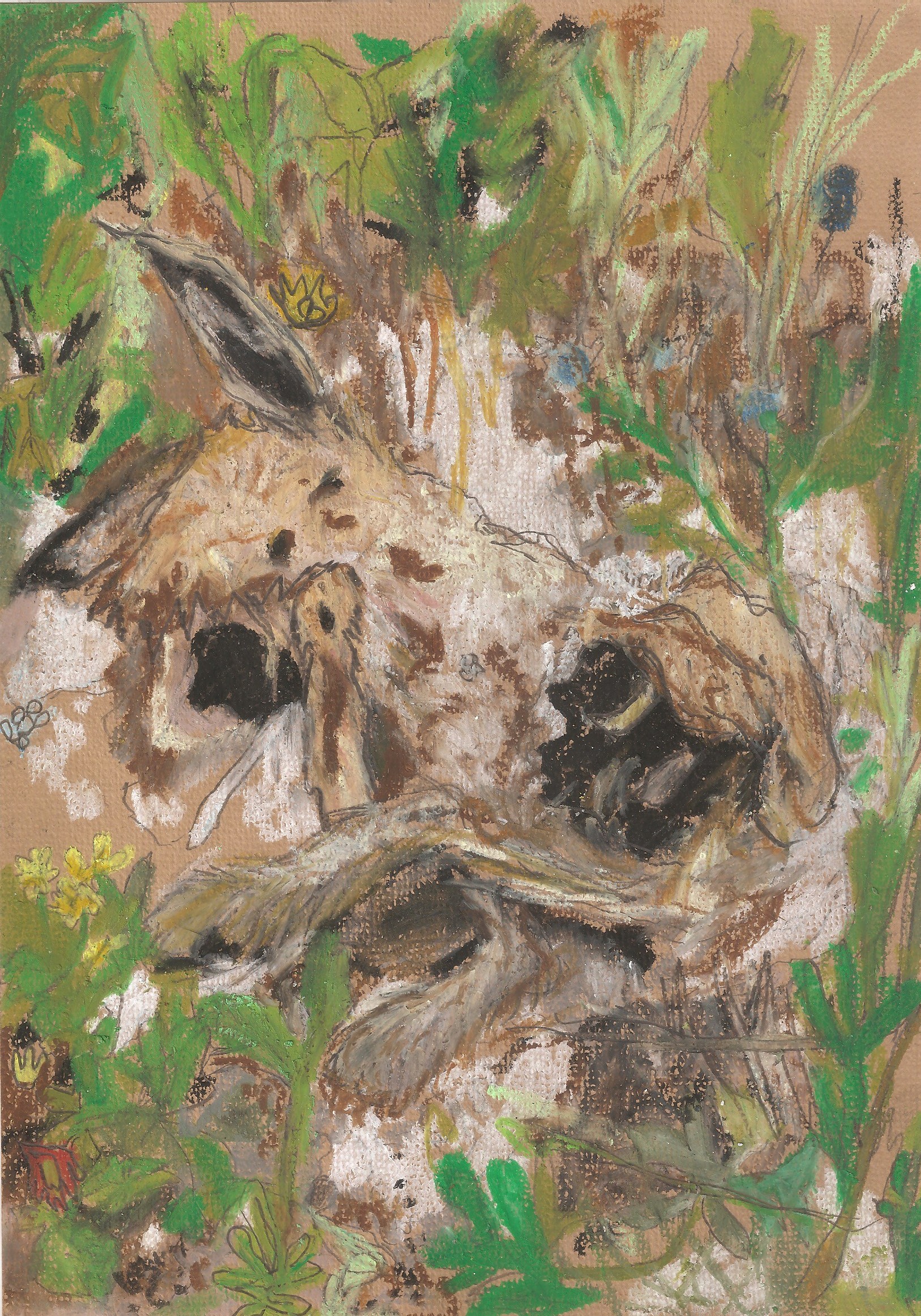 oil pastel drawing of a dead rabbit in flower bushes