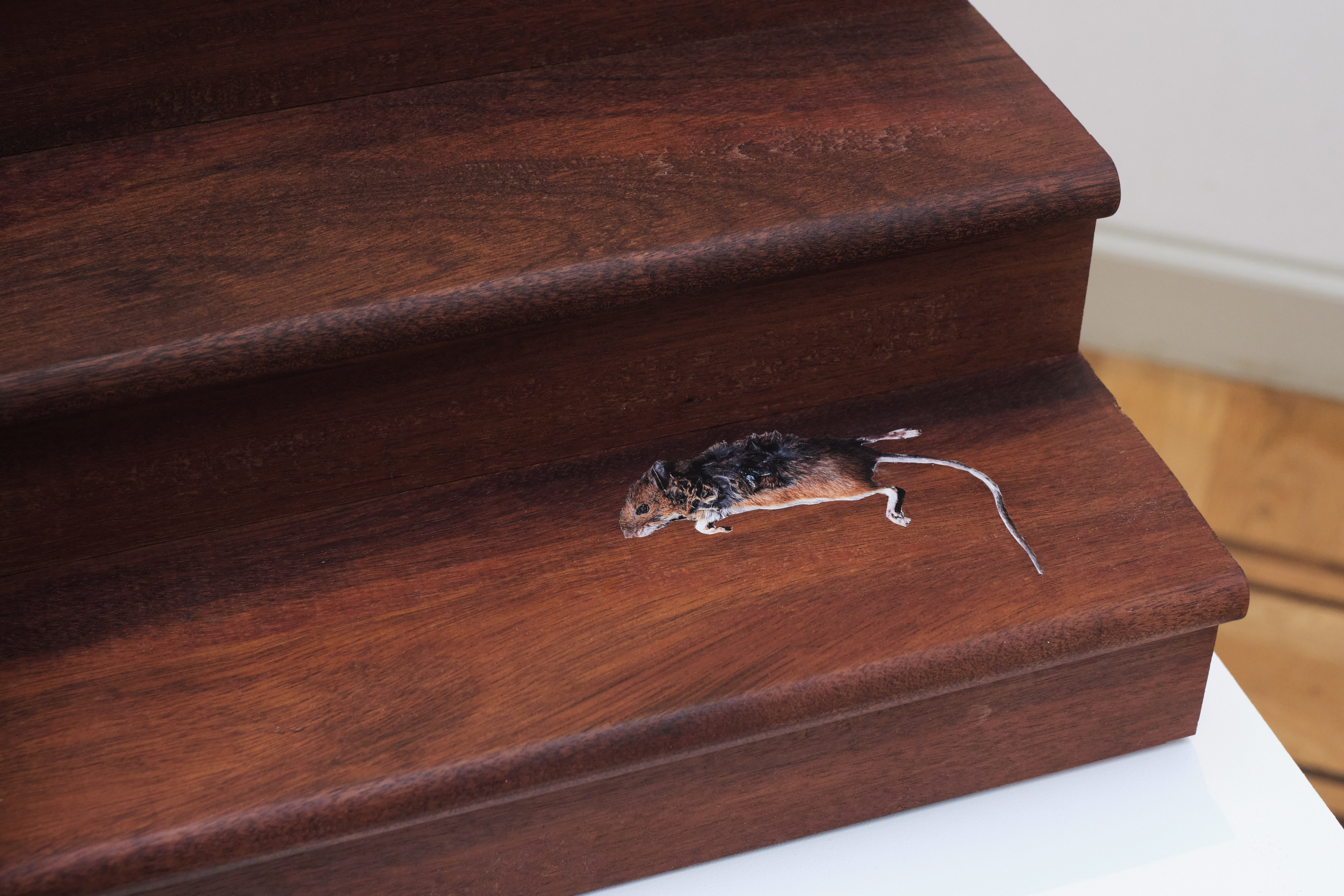 close up of mouse sticker