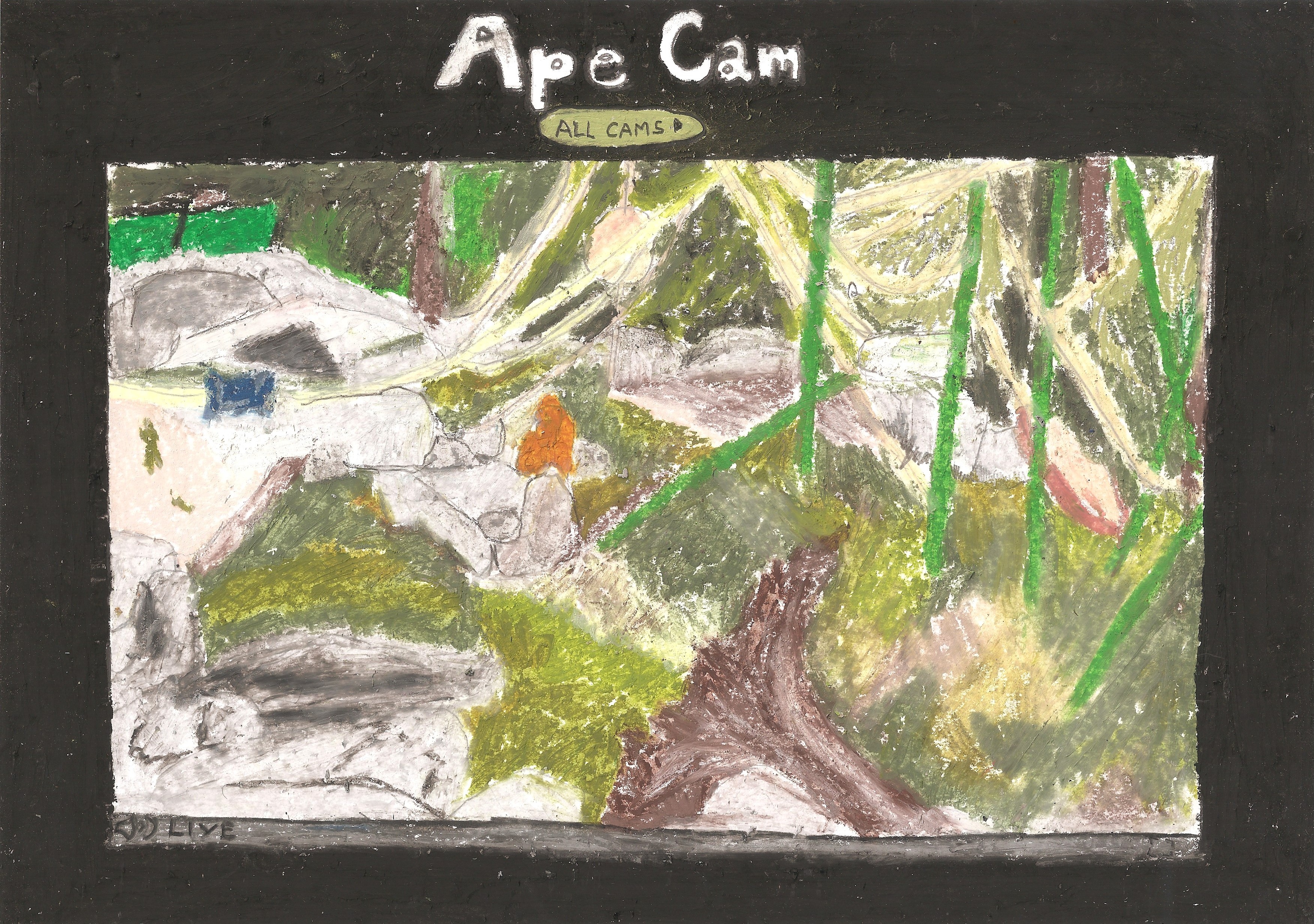 oil pastel drawing of the san diego zoo ape cam livestream