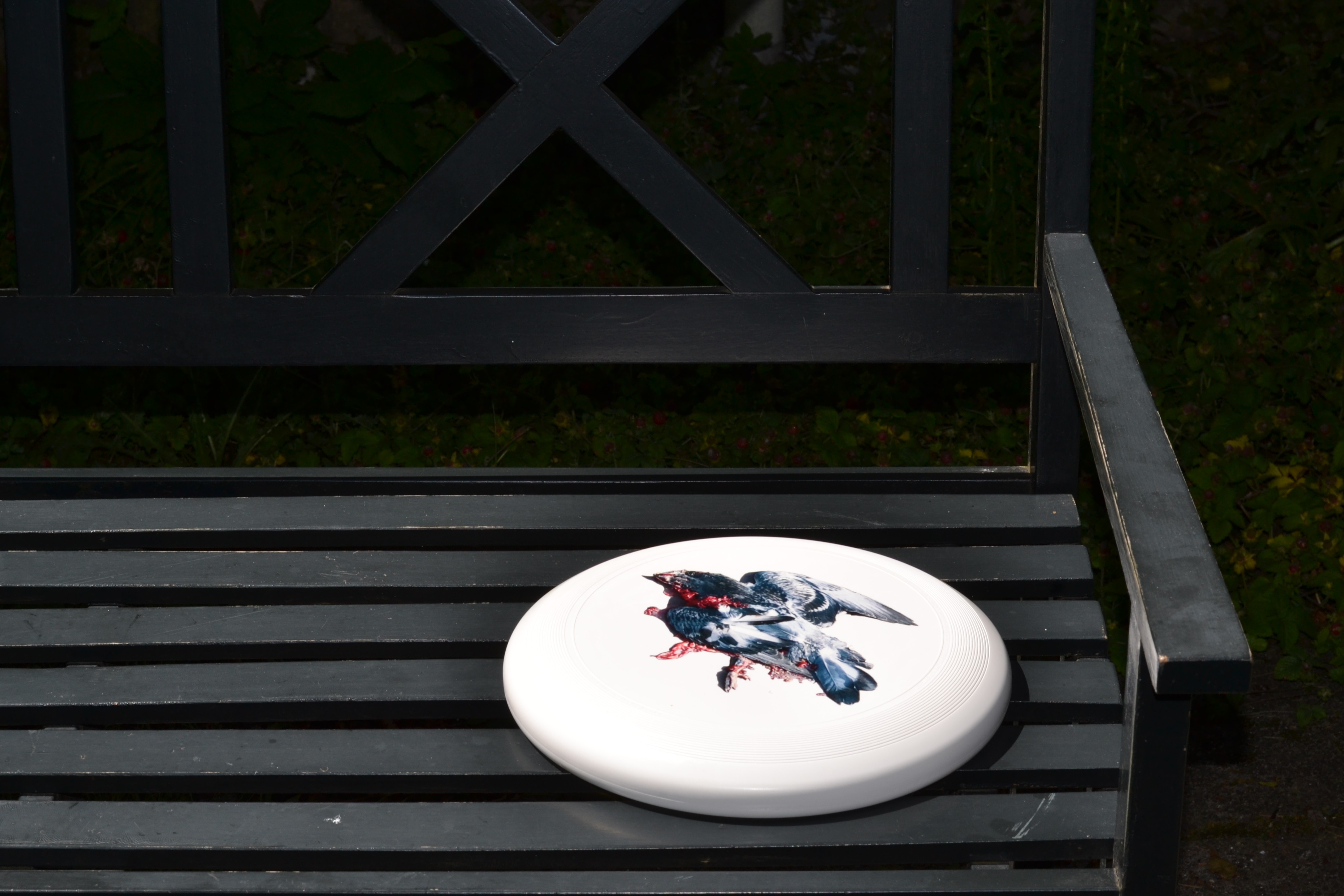 Frisbee with a photo of a dead smashed pigeon printed on it