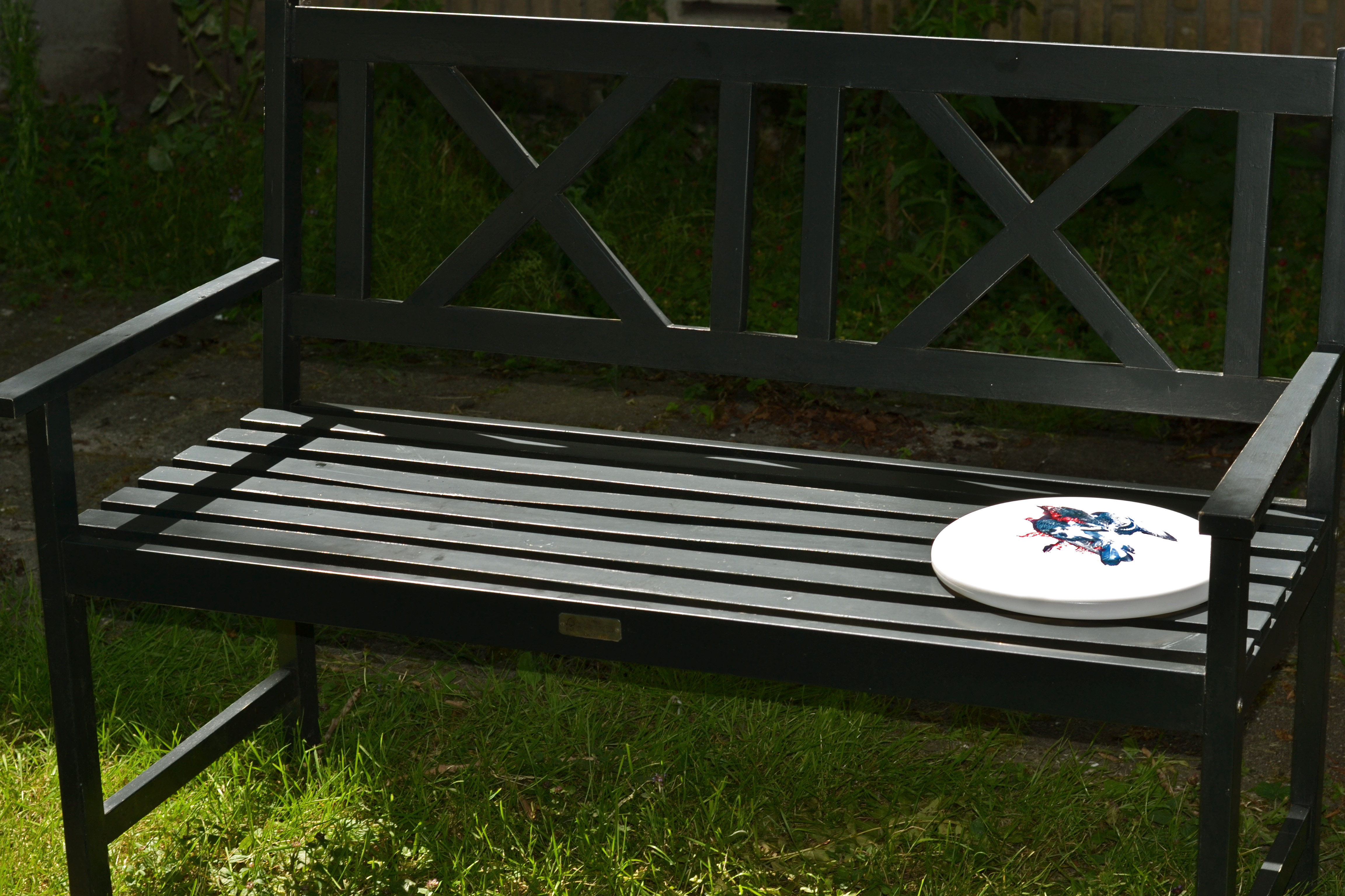 Frisbee with a photo of a dead smashed pigeon printed on it